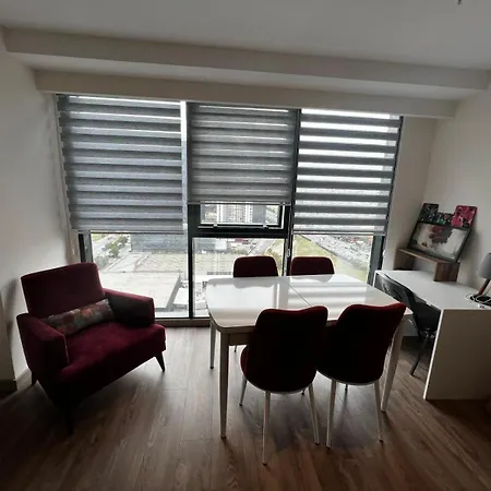 Flat - Close To Mall Of