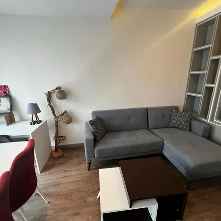 Flat - Close To Mall Of